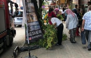 O canıyla uğraştı, vatandaş ıhlamurla
