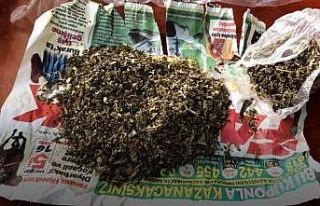 Ordu’da uyuşturucu operasyonu: 6 tutuklama