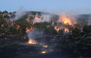 Orman yangını güçlükle kontrol altına alındı