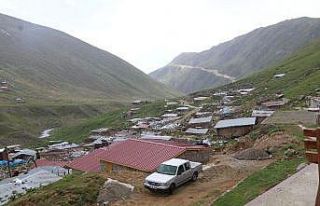 Rize’nin az bilinen doğa harikası Avusor Yaylası