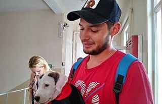 Sarıyer’de bir seçmen yavru köpeği ile oy kullandı