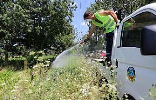 Serdivan’da ilaçlama çalışmaları hız kazandı
