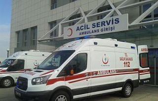 Tarlada yılanın soktuğu çiftçi hastaneye kaldırıldı