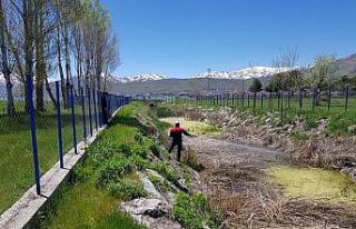 Tatvan Belediyesinden sivrisinekle mücadele çalışması