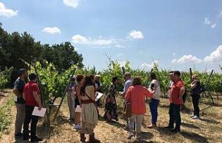 Turizim’in yeni adresi Kırklareli