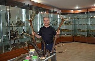 Türkiye av turizminden 4 milyon dolarlık pay alıyor