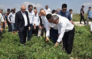 Vali Deniz Salihli’de doludan zarar gören çiftçilerle...