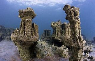 Van Gölü’nün sırları belgesel oldu