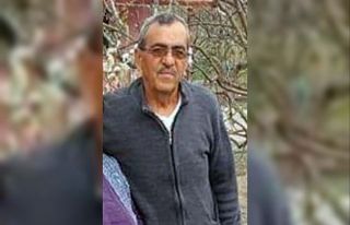 Vişne ağacından düşen yaşlı adam hayatını...