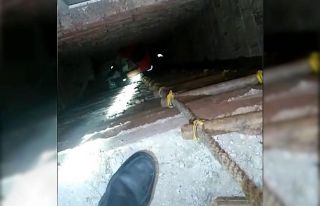 Yavru kediyi itfaiye kurtardı