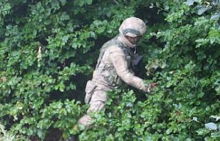 11 yaşındaki çocuk yaylada hayvan otlatırken siste...