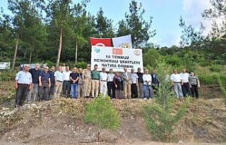 15 Temmuz Demokrasi Şehitleri Hatıra Ormanı’na...