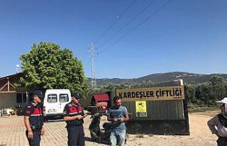 178 timle 24 saatlik huzur uygulaması