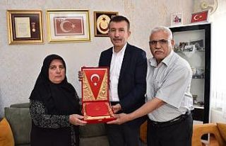 251 şehide vefa ormanı