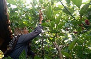 30 yıldır üretip satıyor