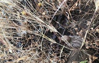 Anadolu’nun bozkırları keşfediliyor