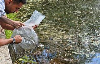 Ankara Büyükşehir Belediyesi, göl ve göletlerde...
