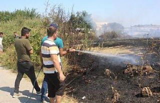 Antalya’da çıkan yangında 20 dönüm zarar gördü