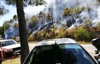 Antalya’daki orman yangını kontrol altına alındı