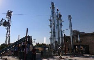 Antep fıstığı teknolojiyle kurutulacak