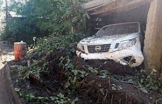 Artvin’de toprak kaymasında 20 hayvan toprak altında...