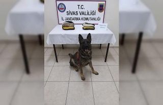 Ayakkabı tabanında uyuşturucu ele geçirildi