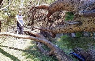 Aydın’da bir aile faciadan kıl payı kurtuldu