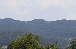 Ayının parçaladığı talihsiz adam toprağa verildi