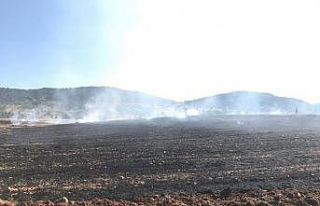 Balya makinesi alev aldı, 25 dönümlük arazi kül...