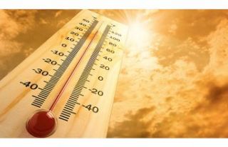 Belçika'da sıcaklık 39.9 derece ölçüldü,...