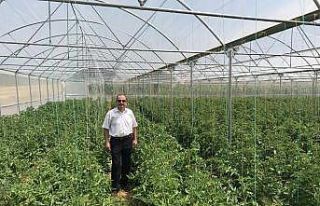 Beyşehir’de modern seracılık dönemi