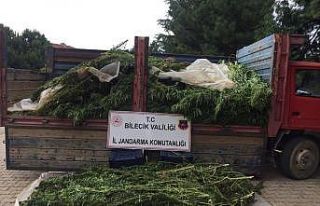 Bilecik’te kubar esrar ve kenevir ele geçirildi