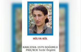 Bingöl’de 8 terörist etkisiz hale getirildi, 2’si...