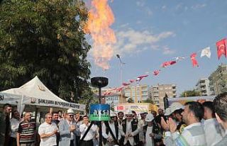 Birecik doğalgaza kavuştu