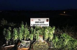 Bu kadarı da ‘Pes’ dedirtti, ormanlık alanda...