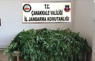 Çanakkale’de uyuşturucu operasyonu