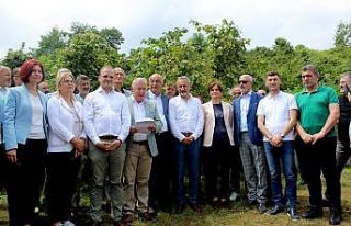 CHP’lilerden ortak ‘fındık’ açıklaması