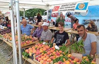Demiciköy’de Şeftali Festivali