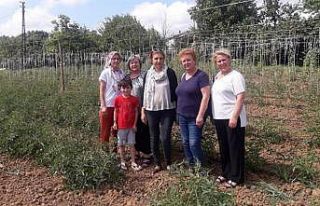 Demirköy’lü kadınlar ilk adımı attı