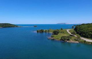 Deniz keyfinizi ölüm tehlikesine çevirmeyin