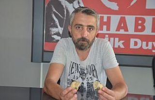 Denizi olmayan Bilecik’te deniz canlıları fosilleri...