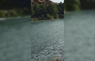 Dicle Nehri’de mahsur kalan 12 kişilik aileyi itfaiye...