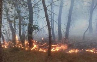 Dikmen’deki orman yangınına helikopterli müdahale