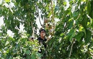 Duyarlı vatandaştan örnek davranış