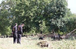 Düzce’de, selde kaybolan 2 çocuk 8 gündür aranıyor