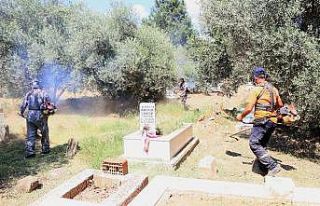 Efeler Belediyesi’nden mezarlıklarda bayram mesaisi