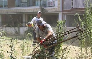 Efeler Belediyesi’nden parklara bayram temizliği