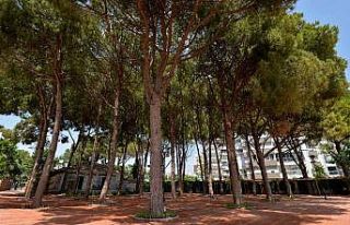 Engelsiz Kafe’de sona doğru