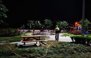 Ergene Belediyesinden ilçe genelinde ilaçlama