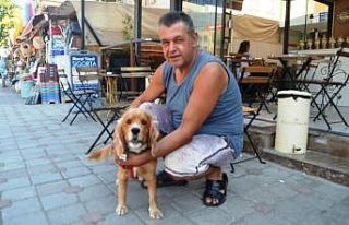Esnaf sokak hayvanlarına sahip çıkıyor